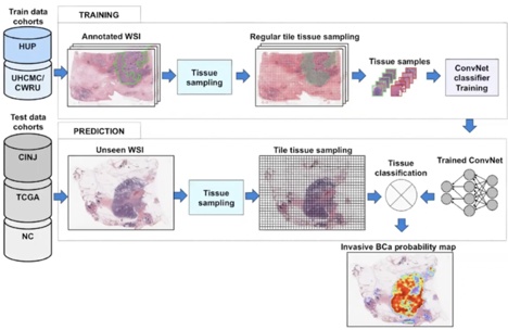 Digital pathology deep store learning